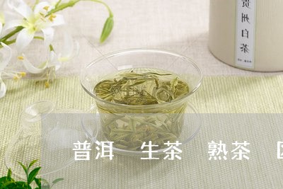 普洱 生茶 熟茶 区分/2023050600592